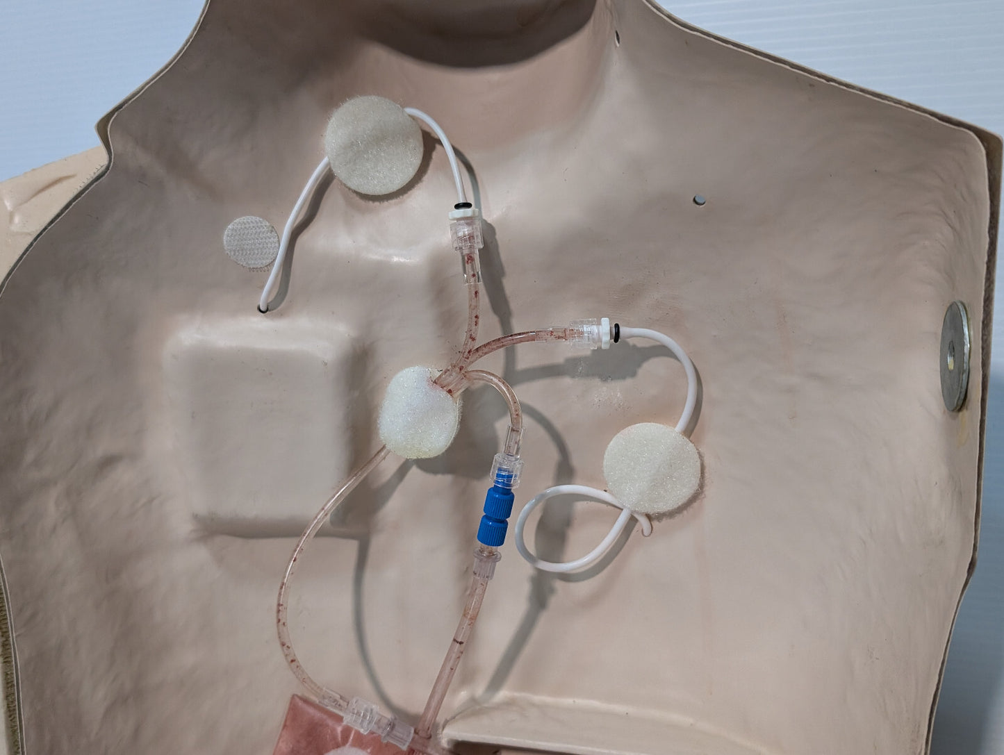 Vata Chester Chest 400P Anatomical Healthcare Model Port Training Mannequin