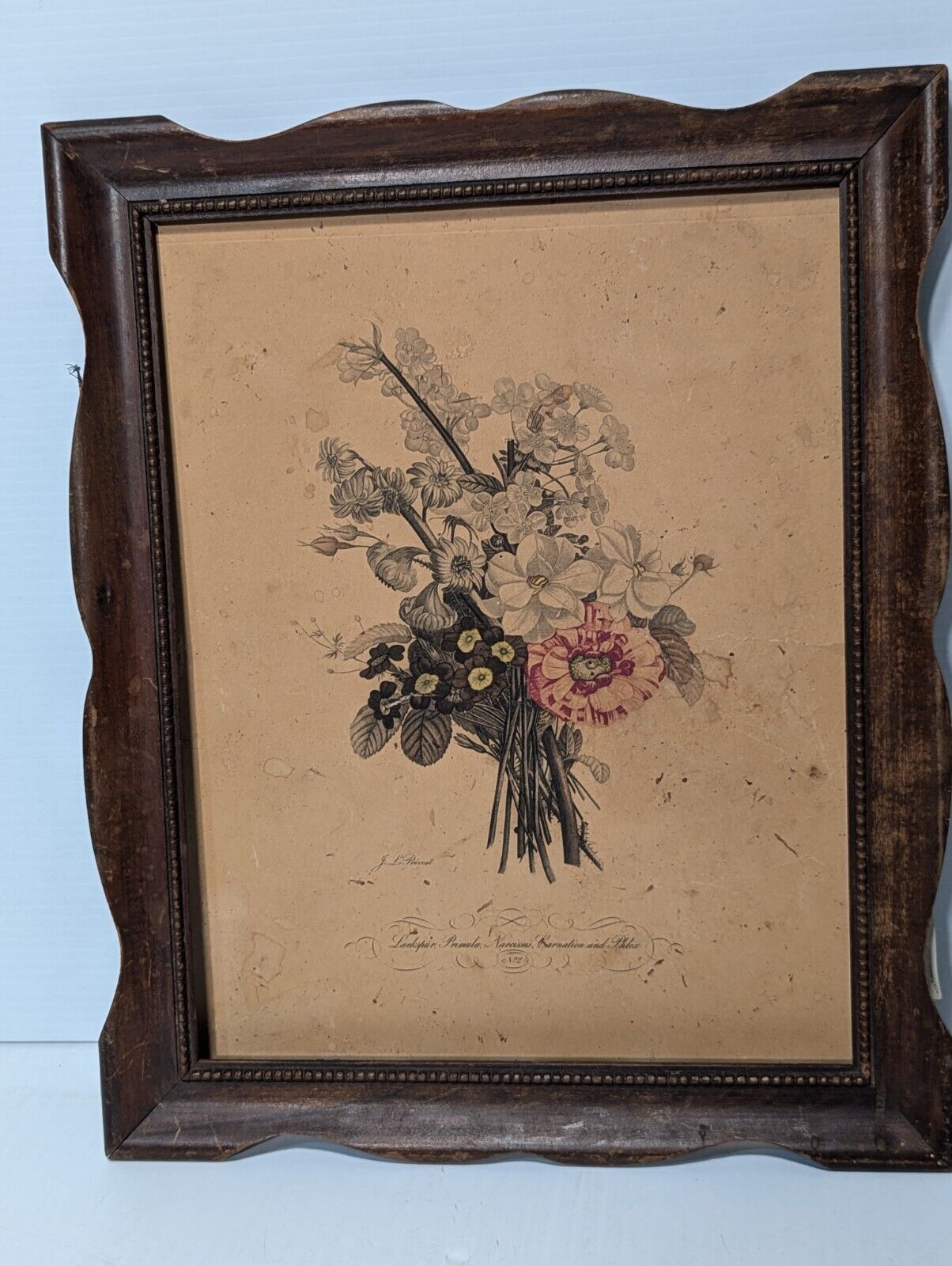 Jean Louis Provost, Still Life of French Botanical Floral Arrangement -Free Ship