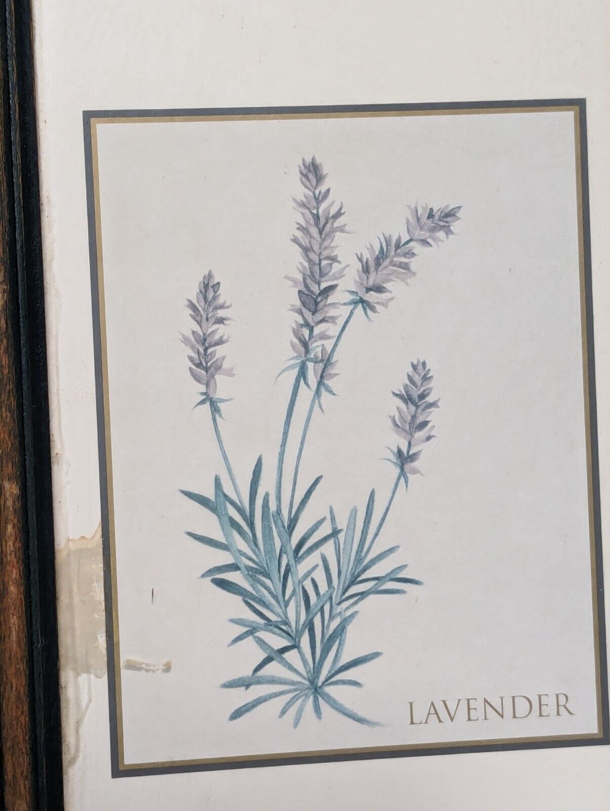 Wall Art Decor Print, Country Style Picture Featuring Herbs, 21" T x 9" W