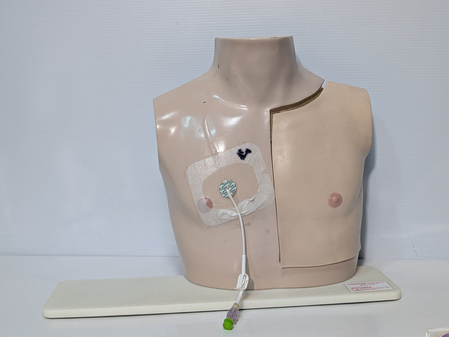 Vata Chester Chest 400P Anatomical Healthcare Model Port Training Mannequin