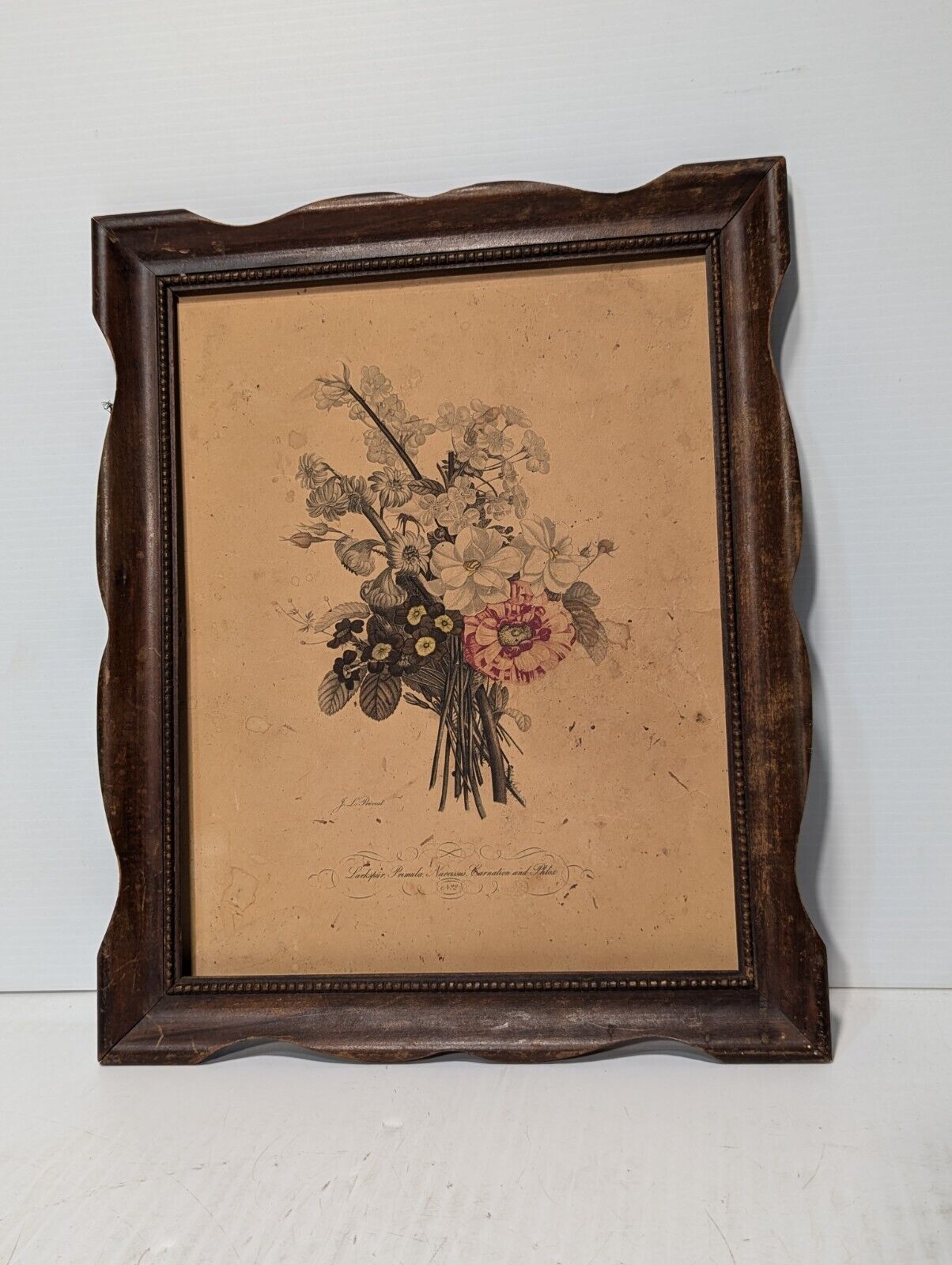Jean Louis Provost, Still Life of French Botanical Floral Arrangement -Free Ship