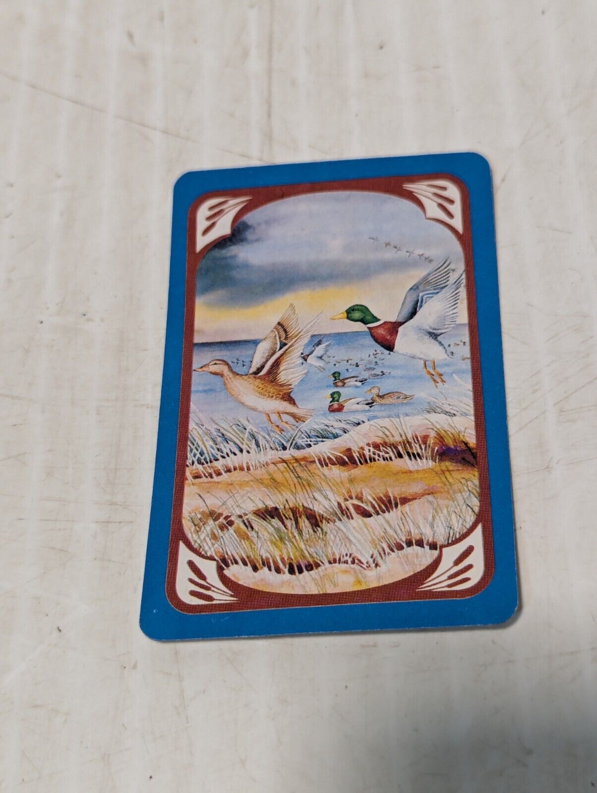 Vtg Mallard Duck Wood Playing Card Storage Box, 2 Decks, 1983 - Free Ship