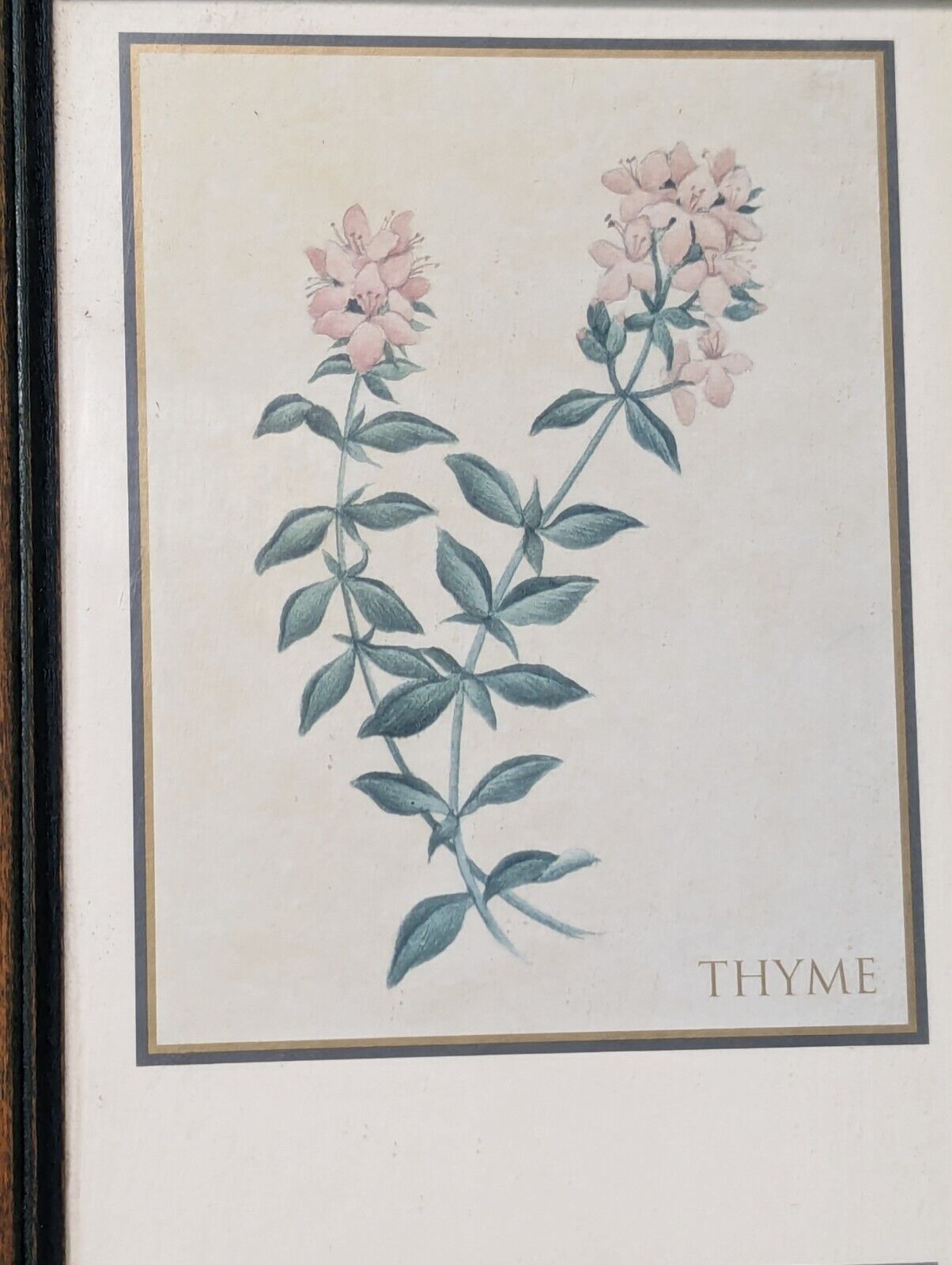 Wall Art Decor Print, Country Style Picture Featuring Herbs, 21" T x 9" W