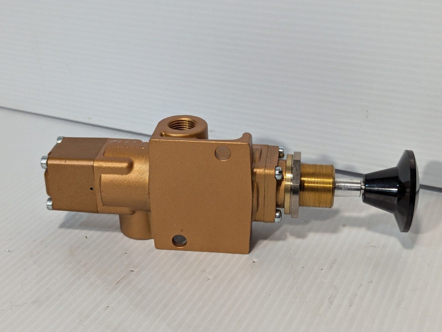 Versa VIZ-3401-10 Lock Out Valve, 200 PSIG 14 BAR VIZ340110 VIZ3401 - Free Ship