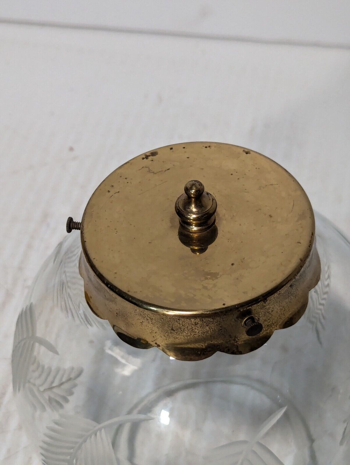 Vintage Etched Glass Light Fixture Globe - Free Shipping