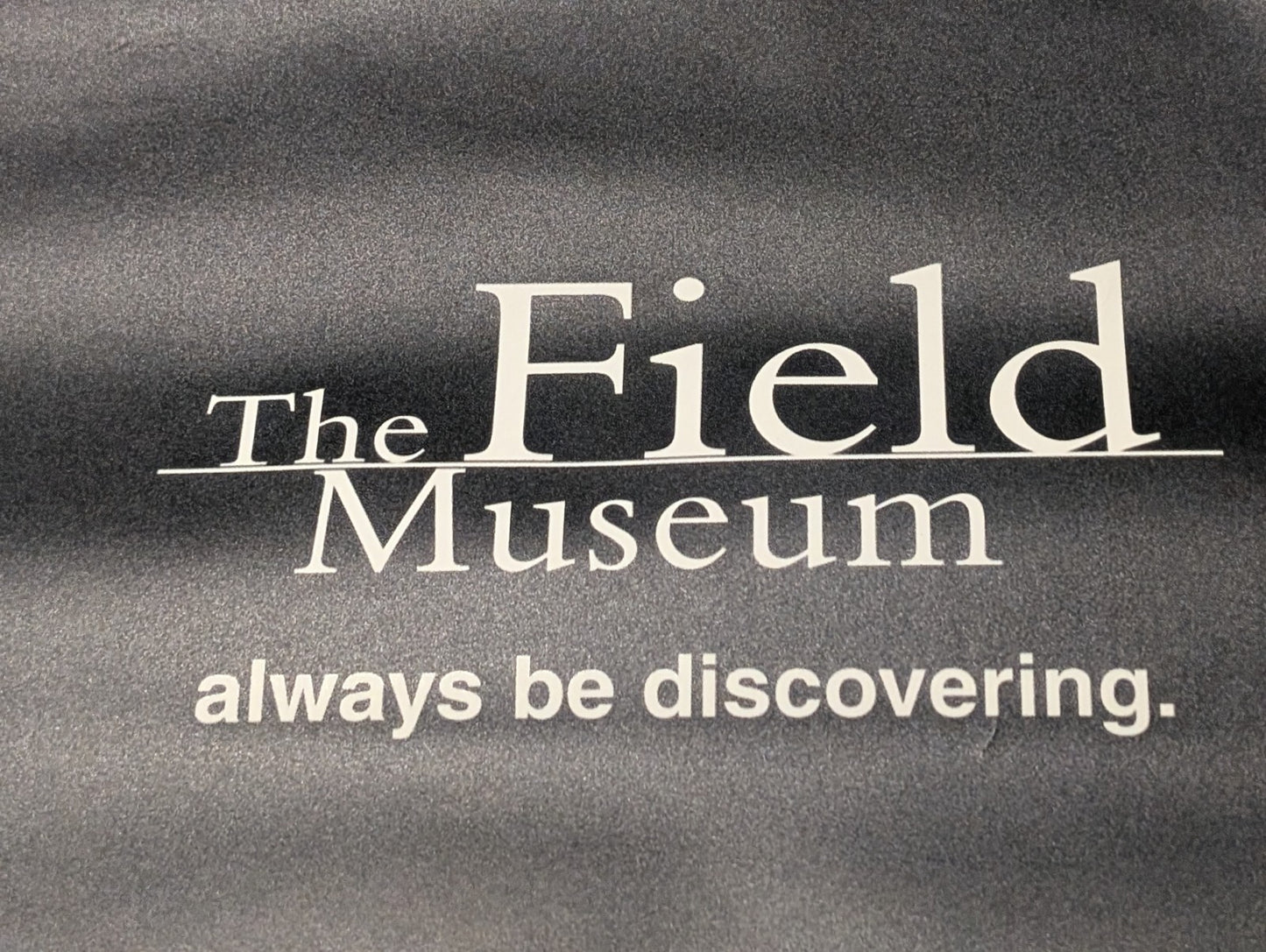 The Field Museum Chicago Bus Stop Advertisement Poster Haiti Voodoo Papa Legba