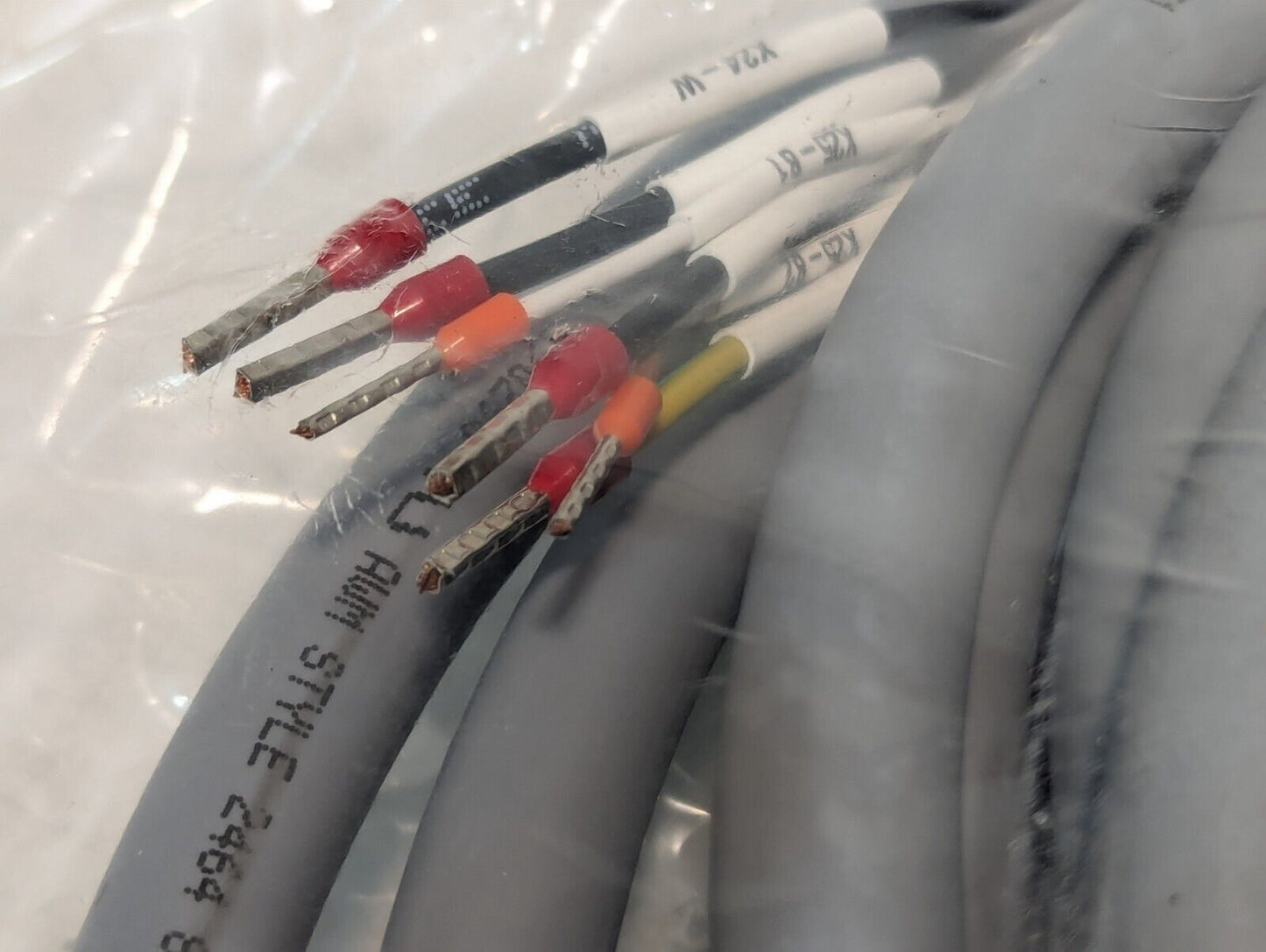 Turck 13066 Cable Assembly, ID# U2-16497, Induct MP U550, W4058