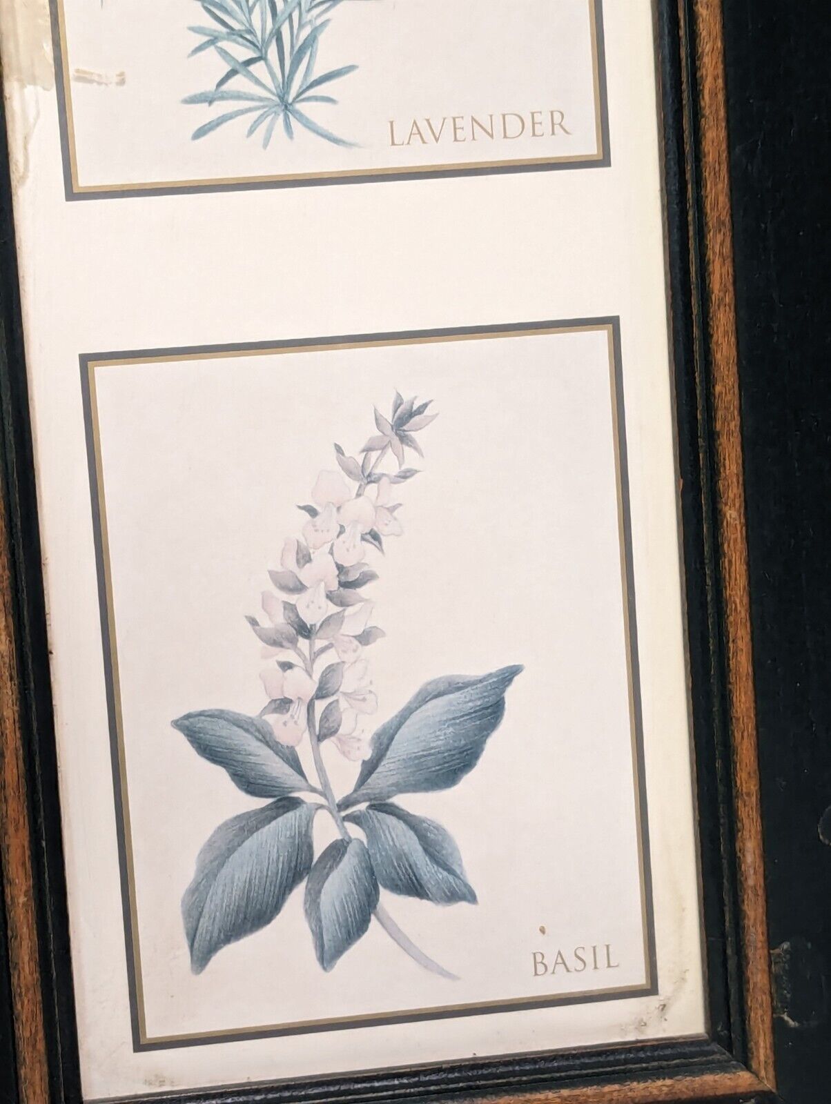 Wall Art Decor Print, Country Style Picture Featuring Herbs, 21" T x 9" W