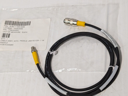 Turck U0967-88 174K244G01 W731 FE-V24 Cable Assy Paddle Jam - Free Shipping