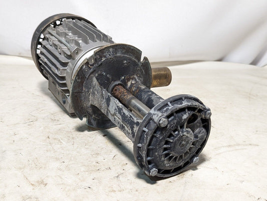 Speck Pumpen unknown model, presumably 3-phase motor