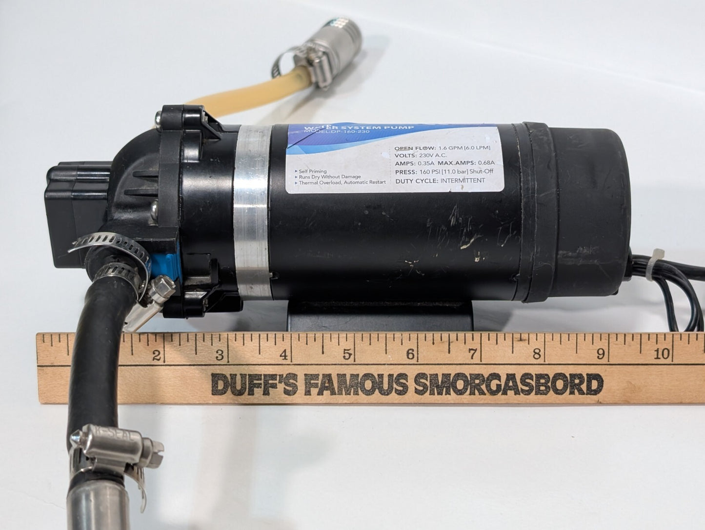 SurgeFlo DP-160-230 Self-Priming Water System Pump, Thermal Overload 1.6GPM 6LPM