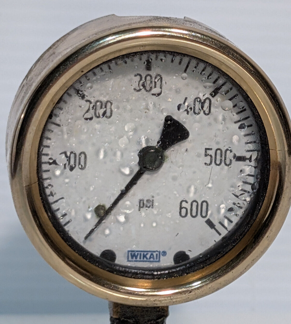Wika Industrial Pressure Gauge, 600 Psi