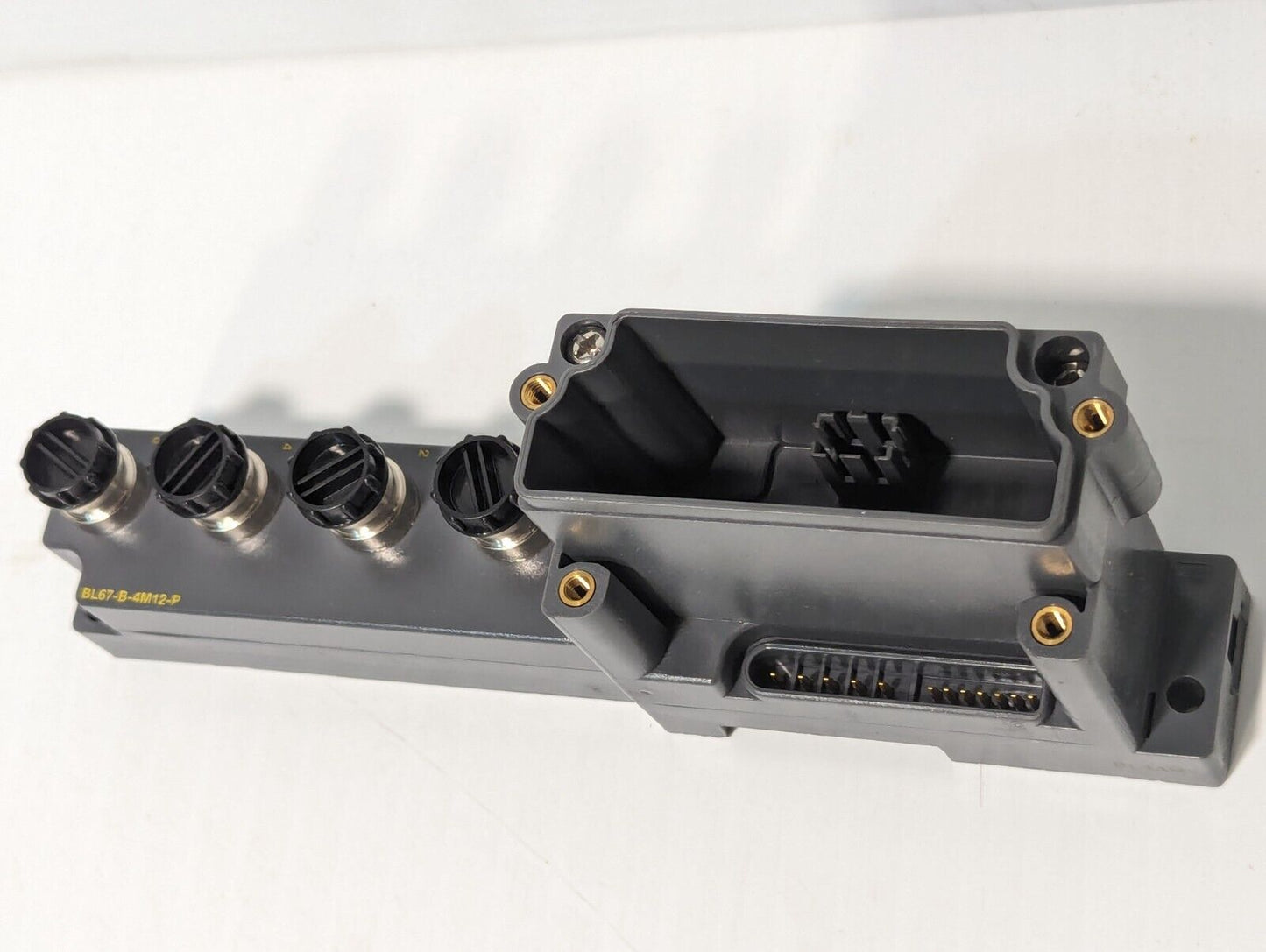 Turck BL67-B-4M12-P Base Module, 6 Pins, 4 Slots, 162K161H01 - Free Shipping