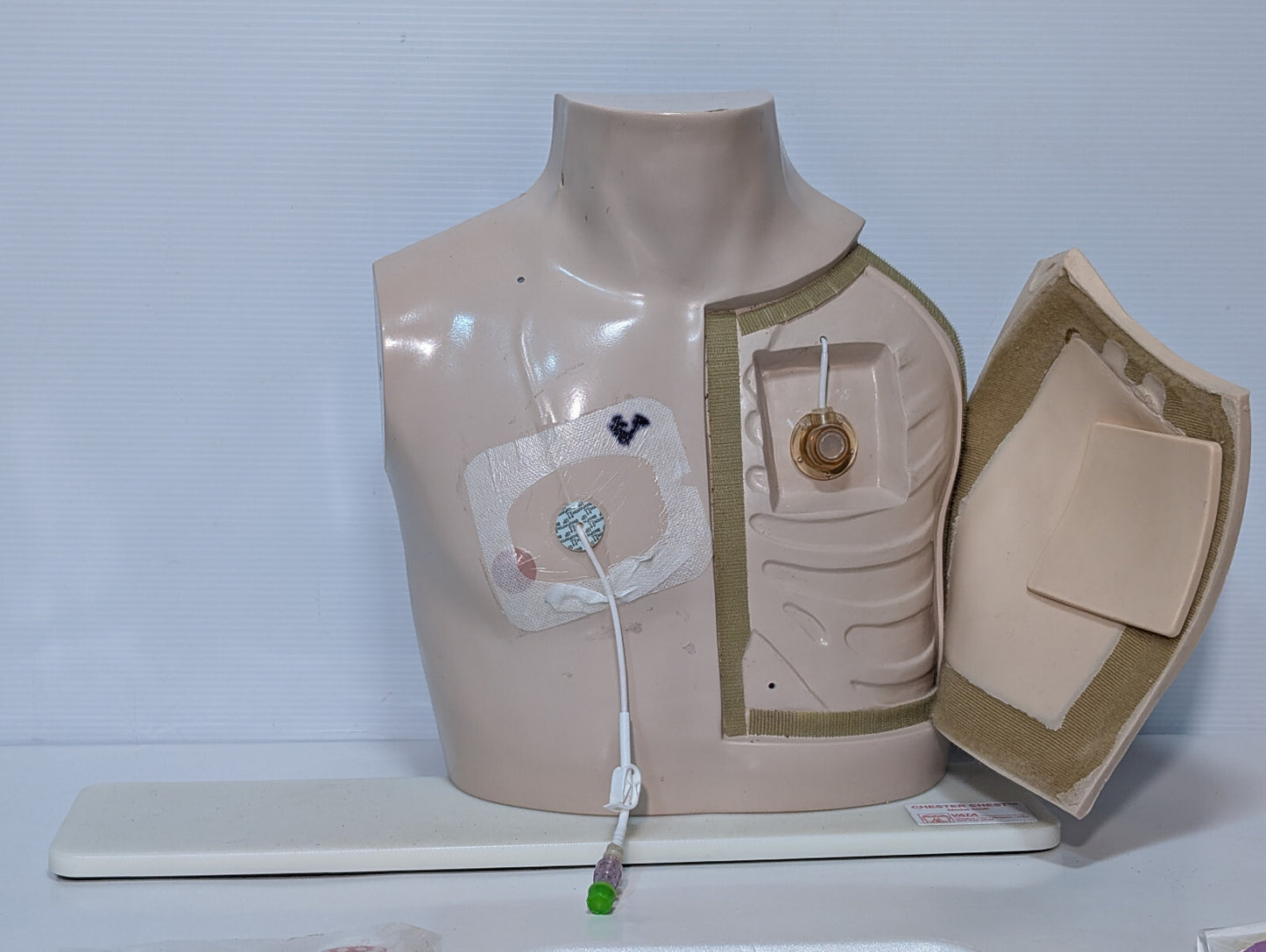 Vata Chester Chest 400P Anatomical Healthcare Model Port Training Mannequin