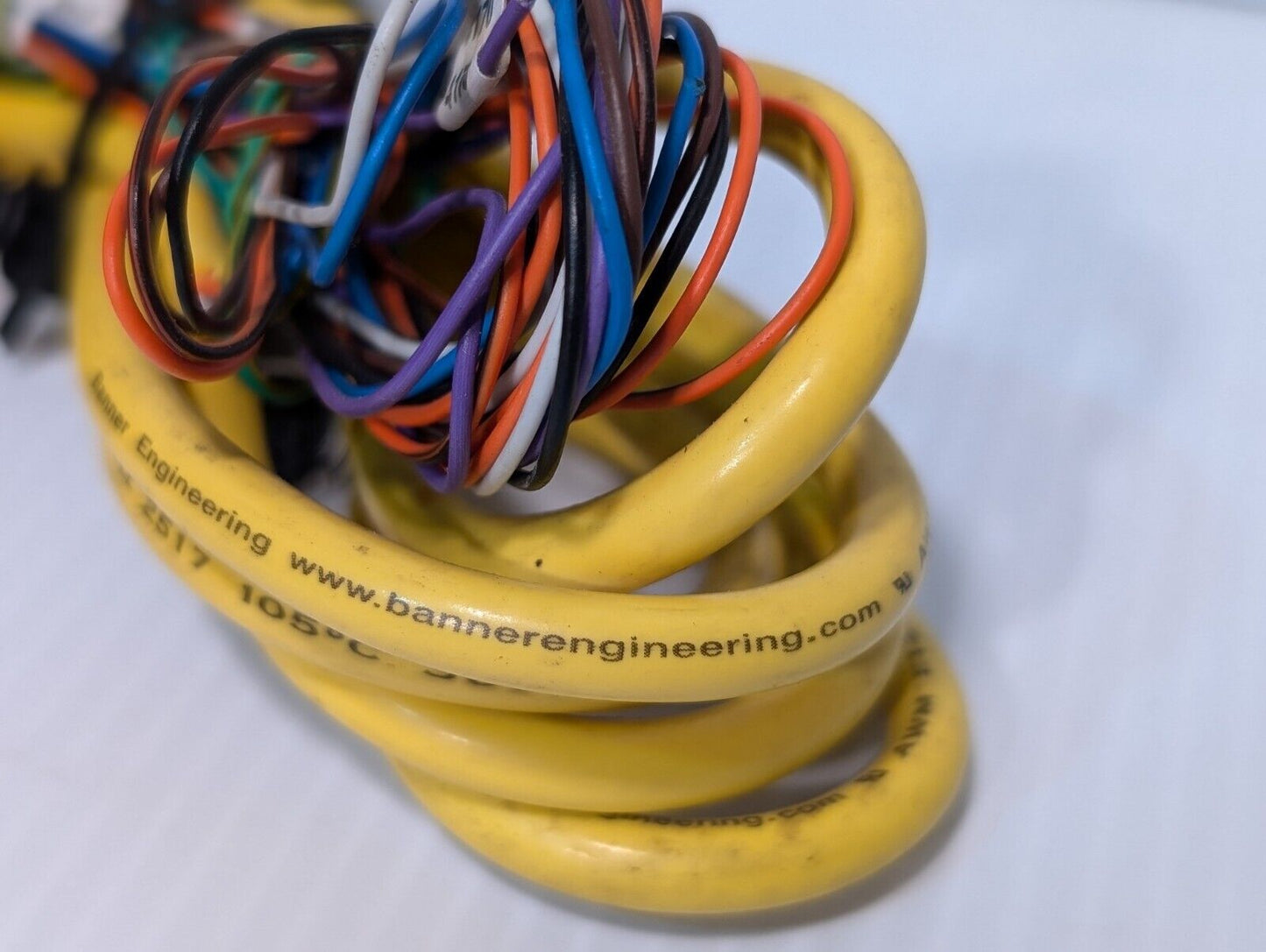 Banner E124588 Cable Assembly, 5 Pin Female to Open Lead, Style 2517 - Free Ship